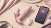 How to choose a wearable remote control vibrator