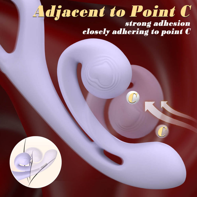 Illustration of an ear with a focus on point C, showing strong adhesion.