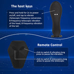 Vibe on-toy button and wireless remote controls for thrusting and vibration